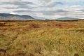 Þingvellir