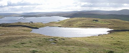 Loomi Shun - geograph.org.uk - 428864.jpg