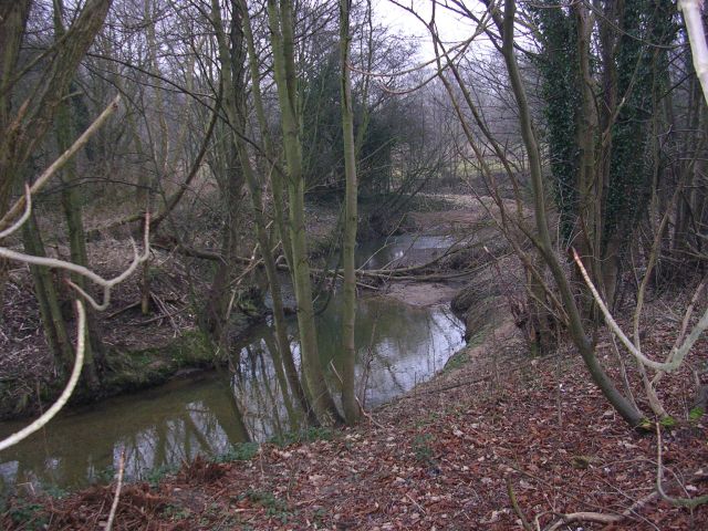 File:River Dean - geograph.org.uk - 116014.jpg