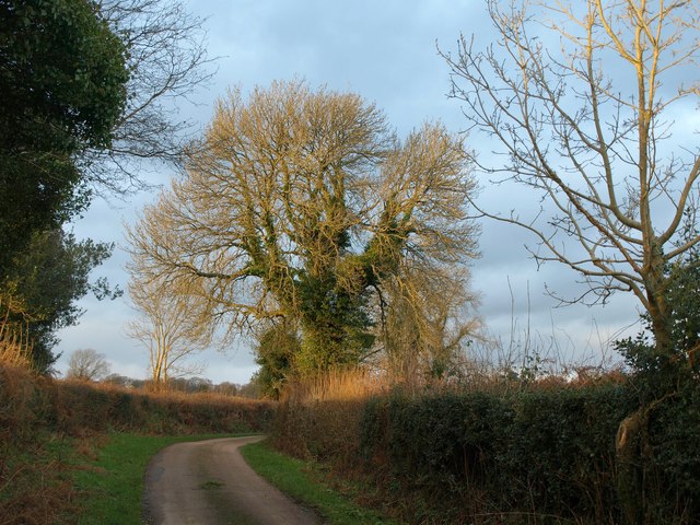 File:Lane north of Overday Farm - geograph.org.uk - 2789910.jpg