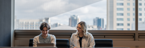 employer and student looking at a laptop