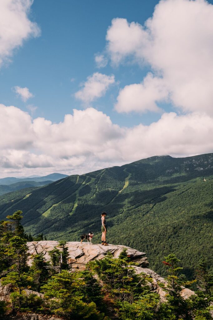 A person and a dog stand at the top of a mountain looking off at a green mountain forest on a sunny day.