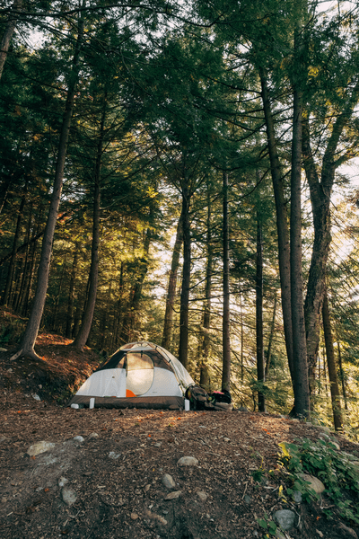 A tent in a campsite outdoors in a forest seen from afar. It’s late summer.