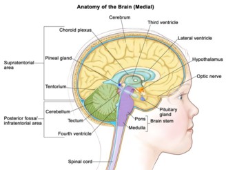 Sample image for Childhood Cancer