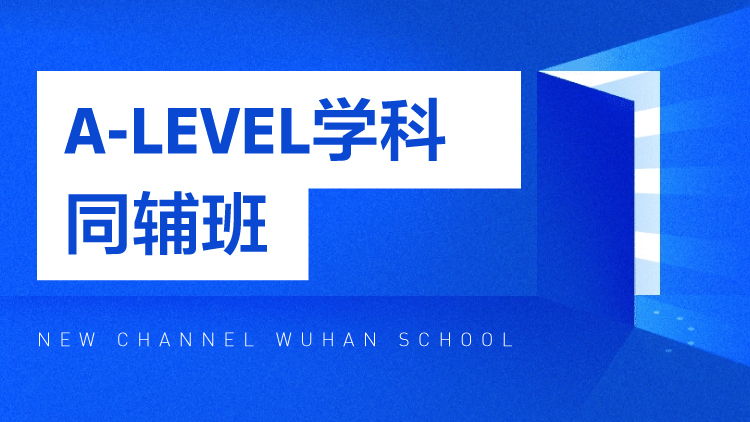 A-LEVEL学科同辅班