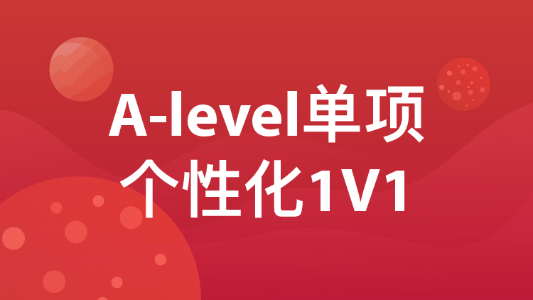 A-LEVEL个性化1V1