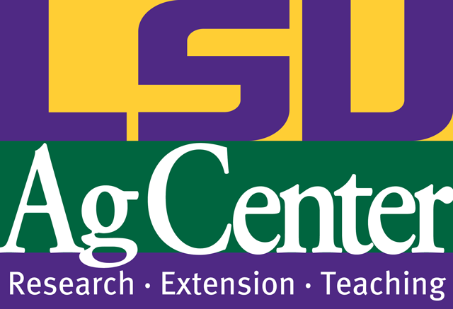 The HYPE Project® expands into Louisiana State University AgCenter, 4-H Program