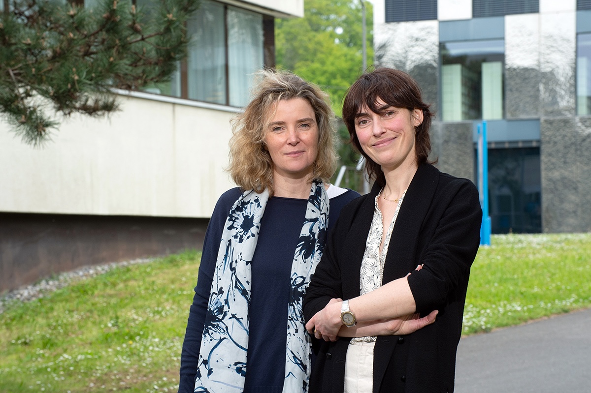 « Ce projet a pour vocation de s’ouvrir à d’autres facultés »