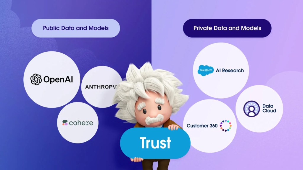 Einstein standing in the center of a split screen with "public data and models" on the left and "private data and models" on the right.