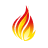 FHIR Icon