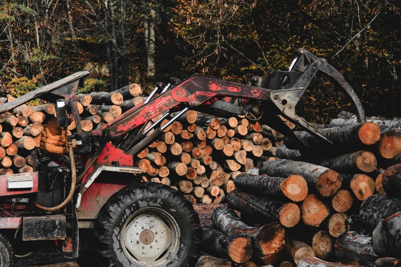 A pile of logs resulting from illegal logging activities, highlighting the environmental impact of deforestation and timber extraction.