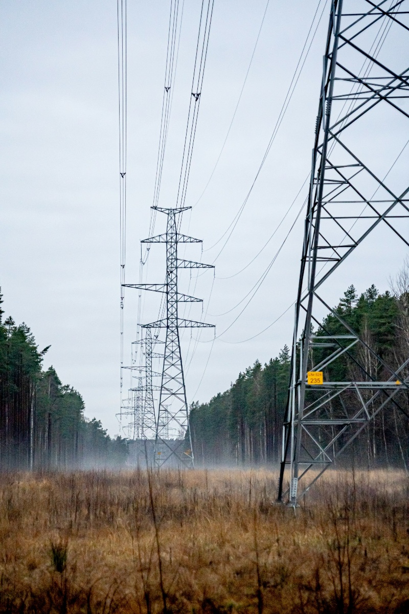 Electric transmission towers in a cleared forest area, indicating human infrastructure amidst deforestation