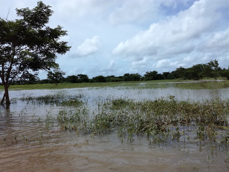 Flooded croplands in Ba, Fiji, following a storm event in February 2017, showing submerged fields and waterlogged vegetation