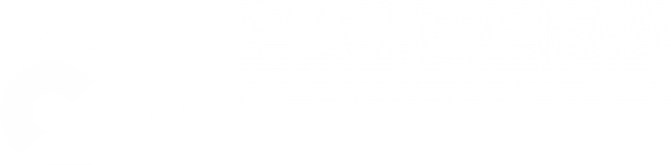 Google Cloud Partner