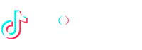 tiktok marketing partner