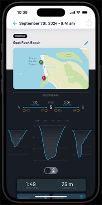 A summary of a dive profile.