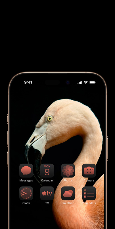 Ecrã do iPhone 16 com uma fotografia dinâmica do perfil de um flamingo rosa e com os widgets na mesma cor para combinar.