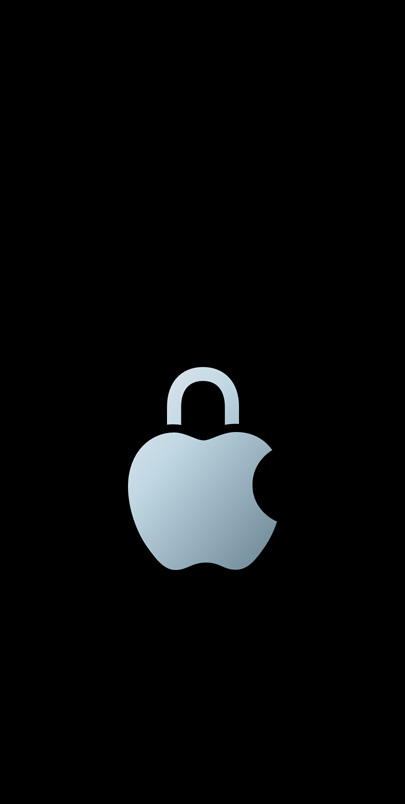 Logo de privacidad de Apple.