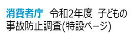 消費者庁　令和2年度 子どもの事故防止調査(特設ページ)