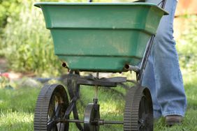 Fertilizer spreader