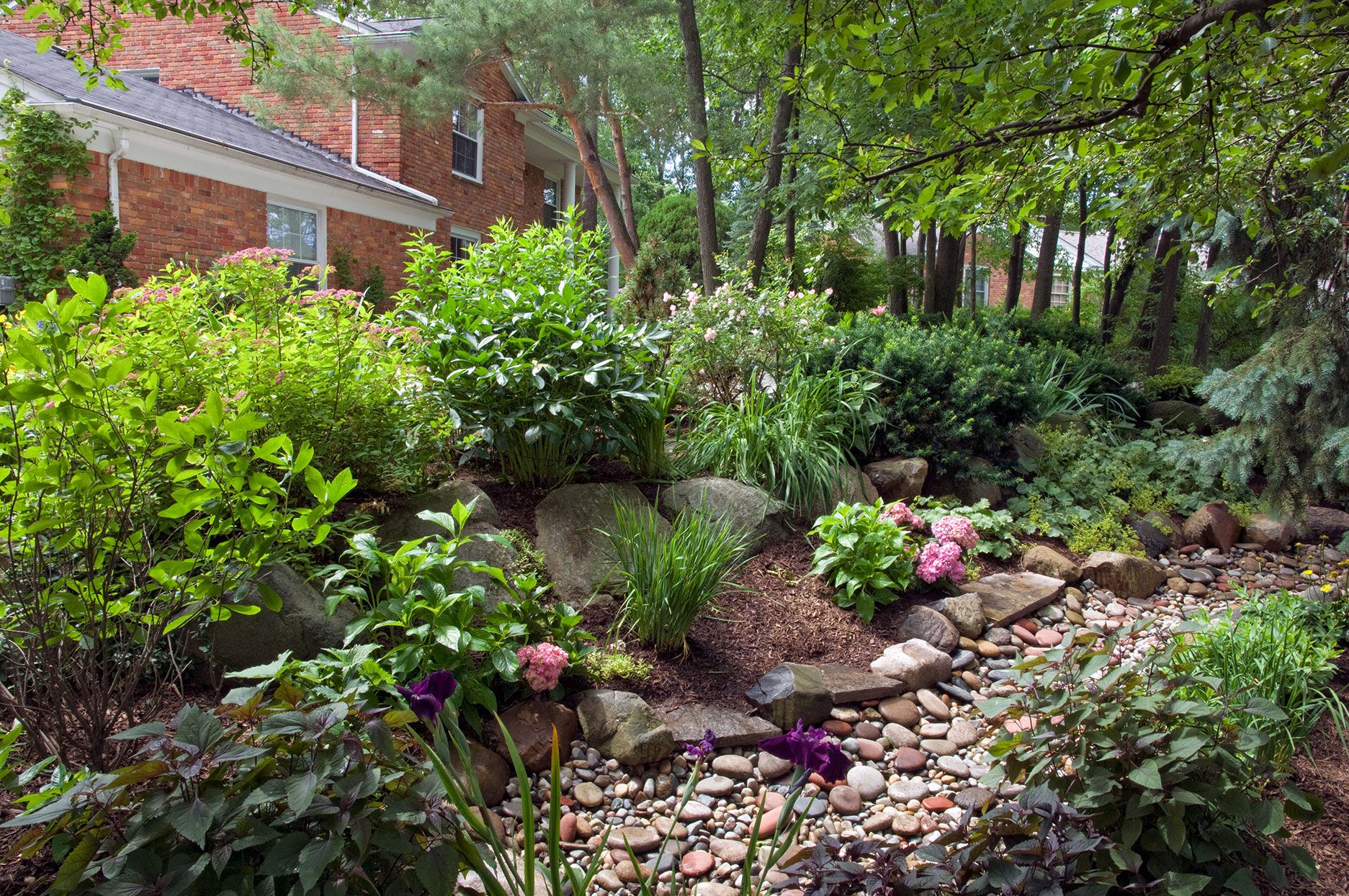 rocks and plants in rain garden