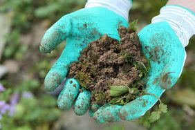 Rubber Gardening Gloves Tout