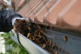 how to clean gutters to get rid of leaves