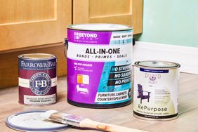 Best Paints for Cabinets arranged on a wooden floor in front of a wood cabinet