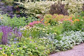 colorful perennial border garden along landscape path