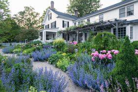 landscape front garden