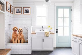 Mudroom dog shower