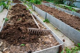 raised garden beds with manure to spread on top of soil