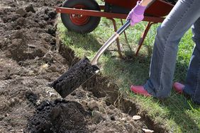 Shoveling garden soil onto garden