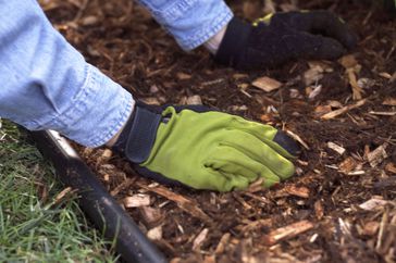 Hands with gloves laying down mulch