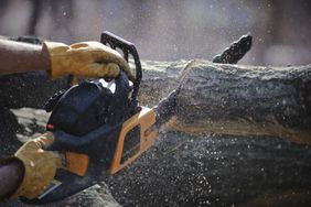 Chainsaw cutting through a log