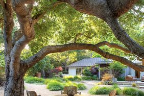 wood-look cement bistro set oak tree shade gravel