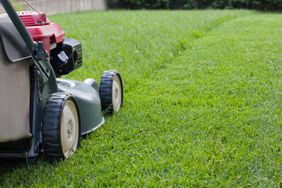 lawn mower cutting grass