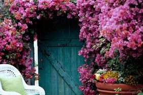 pink flowers, barn door, white rocking chair