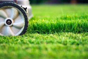 lawn mower cutting grass 