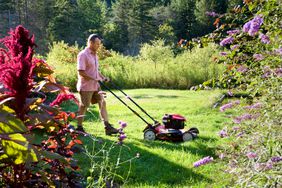 Man mowing garden lawn