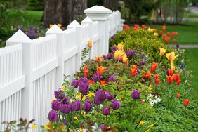 flowers growing next to a white picket fence