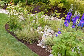 Streambed rain garden with flowers