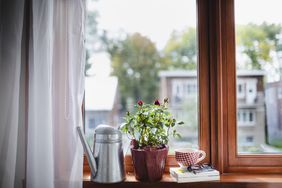 watering can, plant, flower, teacup, glasses, and books on wooden window sill