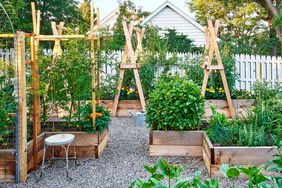 Wood raised garden bed