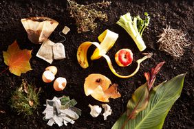 Variety of compostable items on dirt