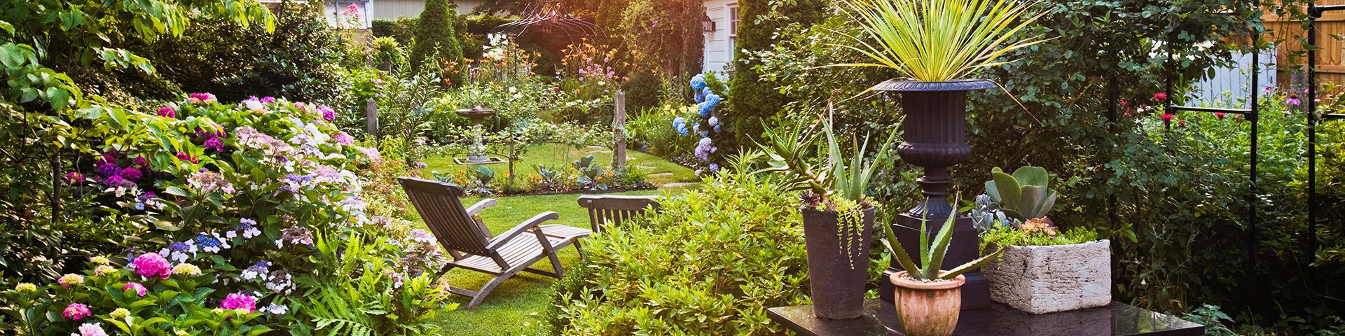 colorful backyard with greenery and flowers