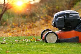 lawn mower mowing up leaves on grass