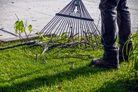 rake cleaning up fallen sticks on lawn