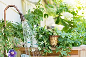 outdoor shower in yard with clematis greenery