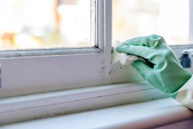 how to get rid of mold smells in home removing mold from window